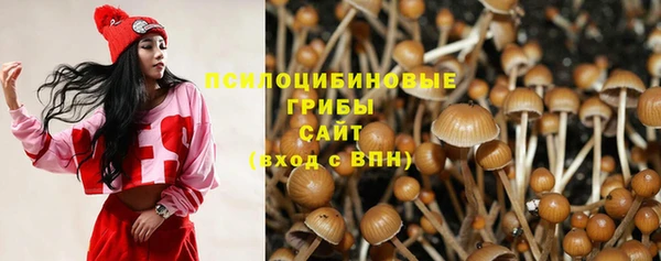 ALPHA PVP Алзамай