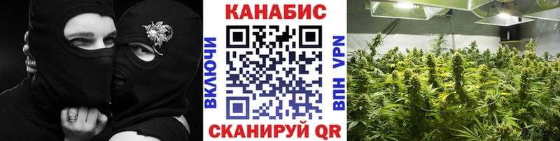 МАРИХУАНА Amnesia  купить  сайты  Лермонтов 